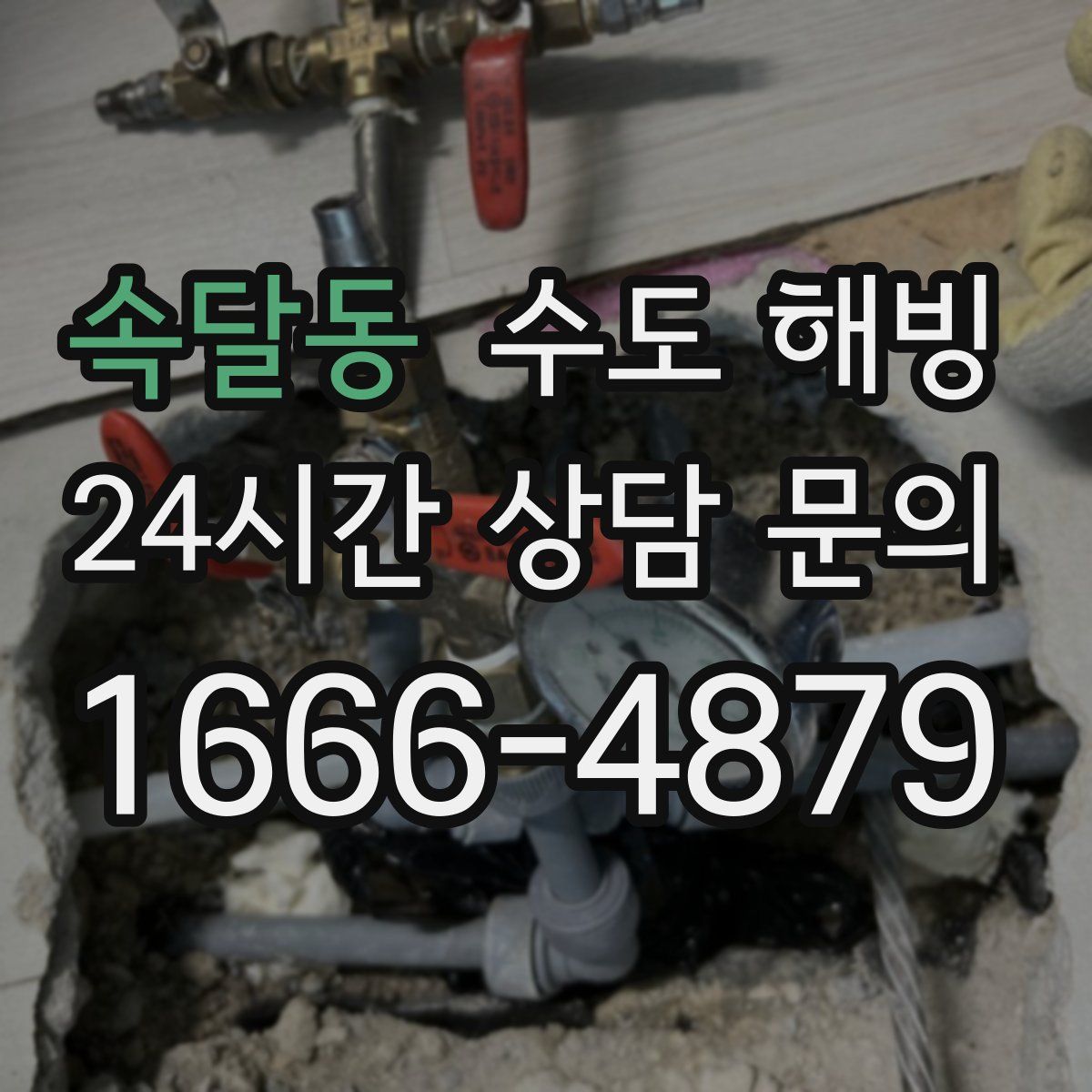 속달동 수도 해빙