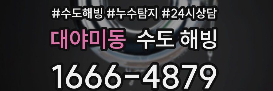 대야미동 수도 해빙