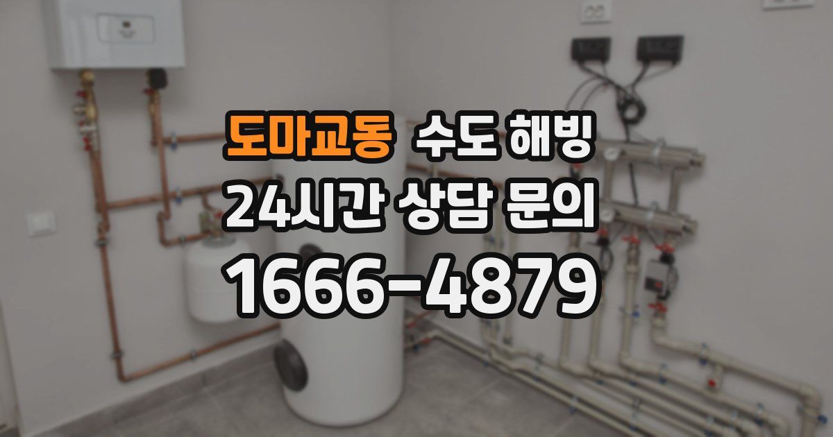 도마교동 수도 해빙