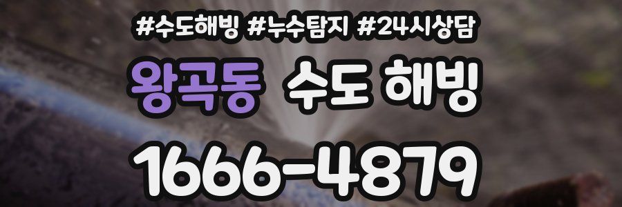 왕곡동 수도 해빙