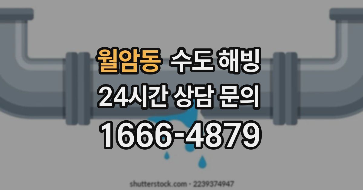 월암동 수도 해빙