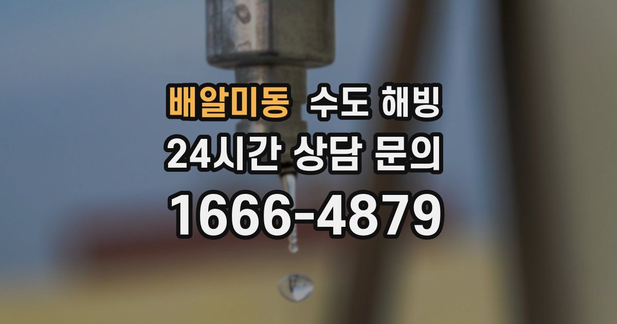 배알미동 수도 해빙