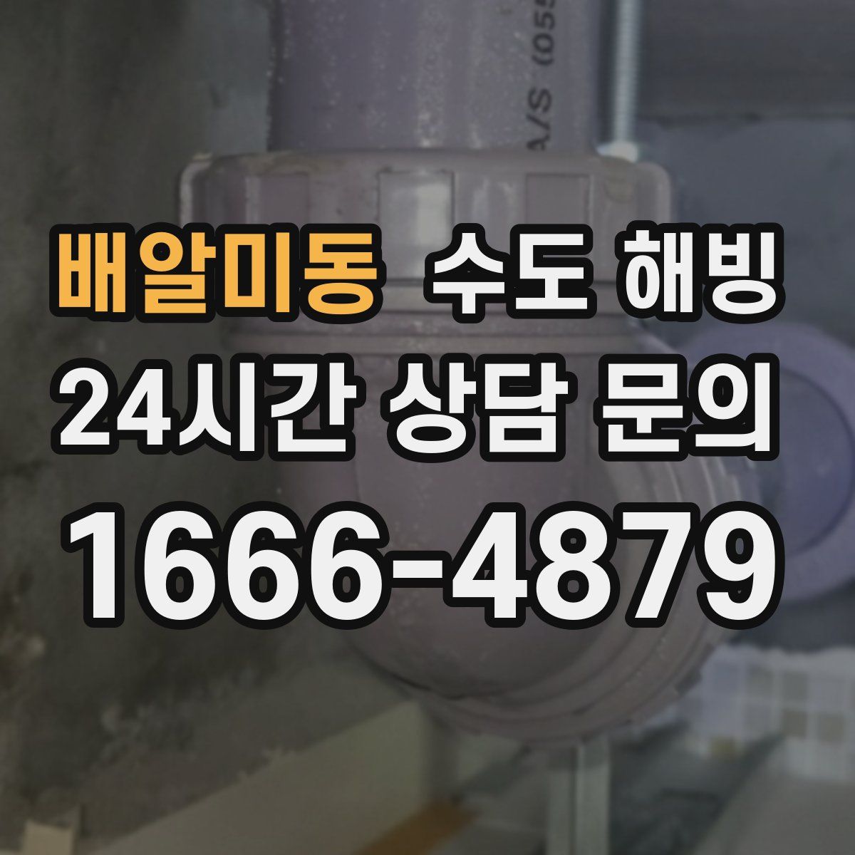 배알미동 수도 해빙