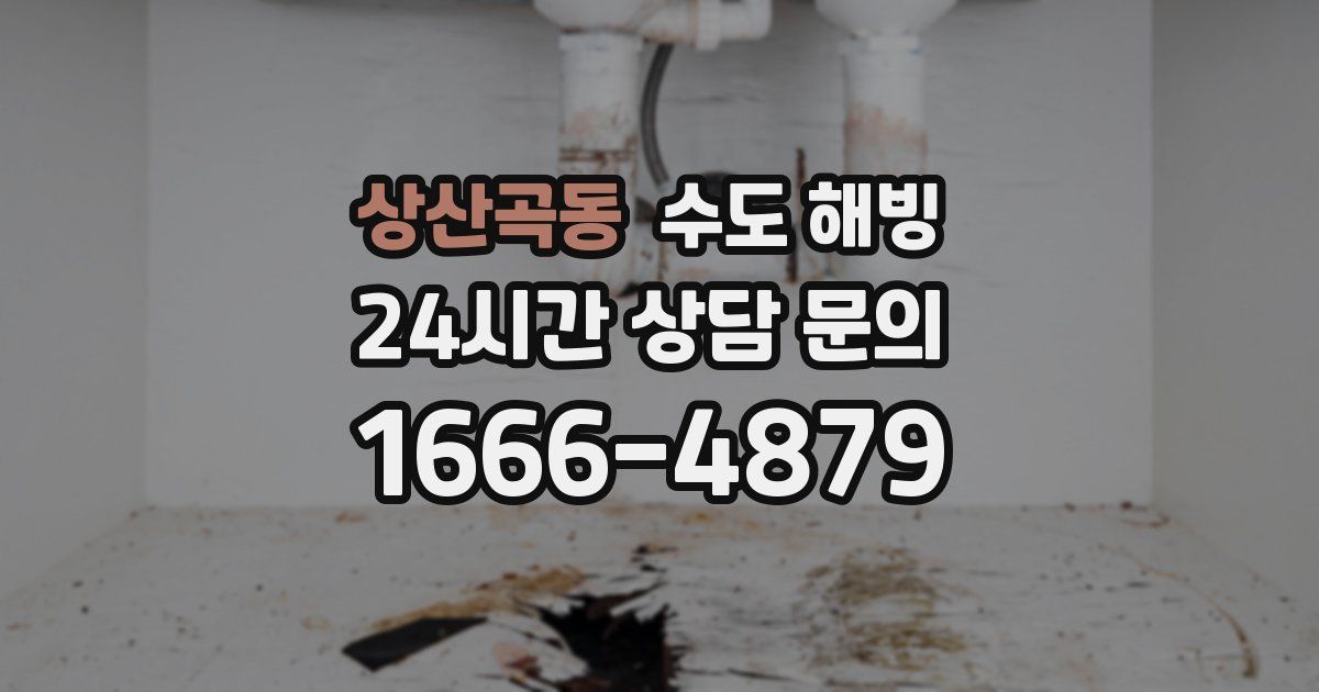 상산곡동 수도 해빙