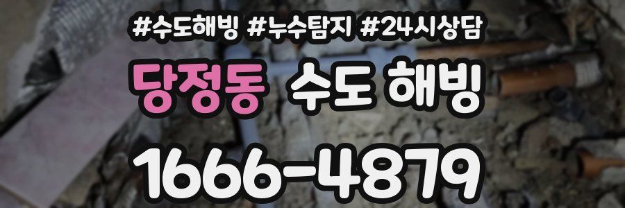 당정동 수도 해빙