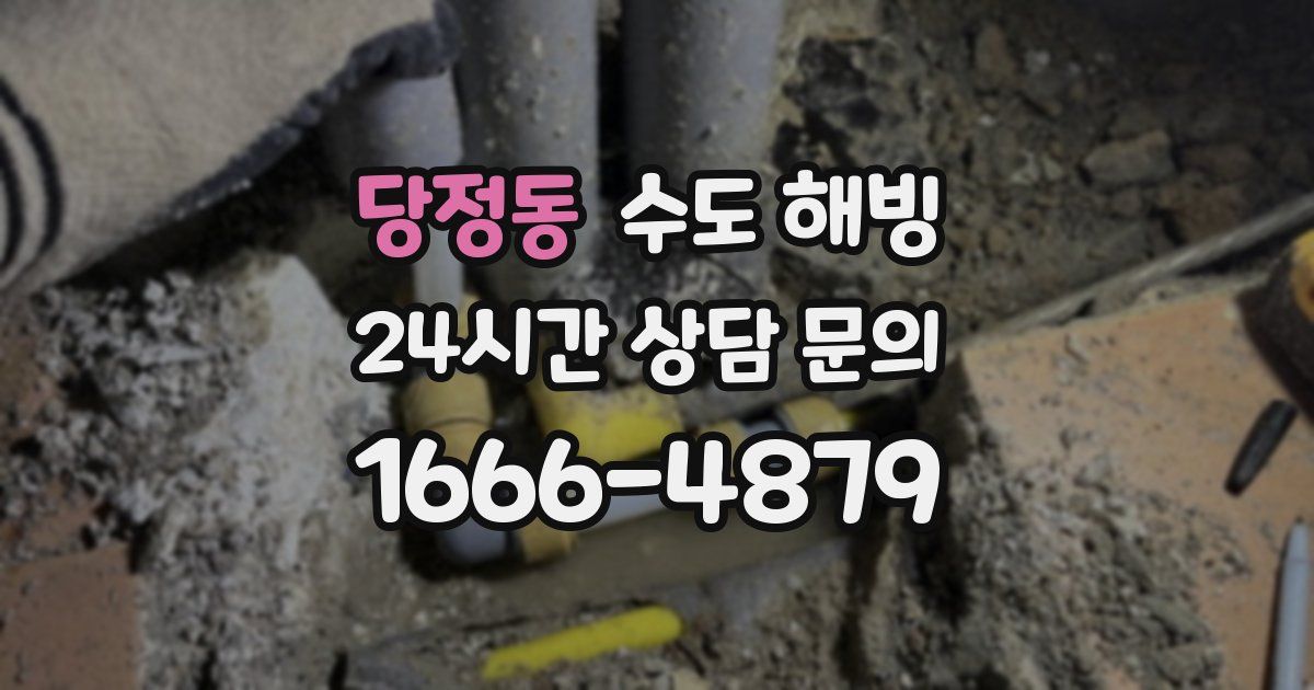 당정동 수도 해빙