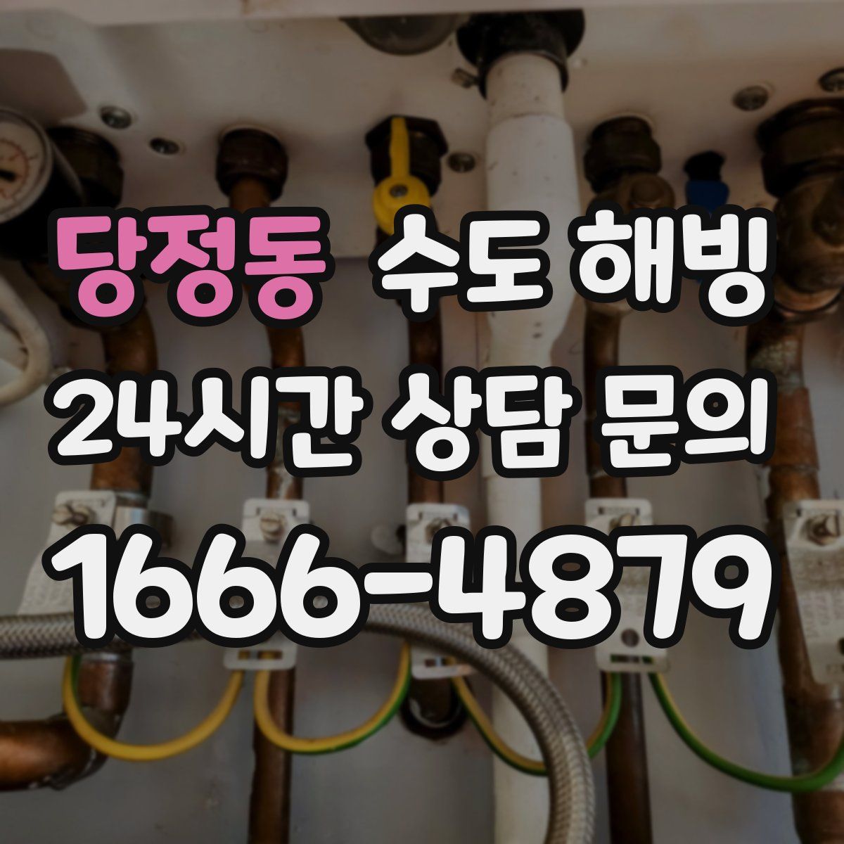 당정동 수도 해빙