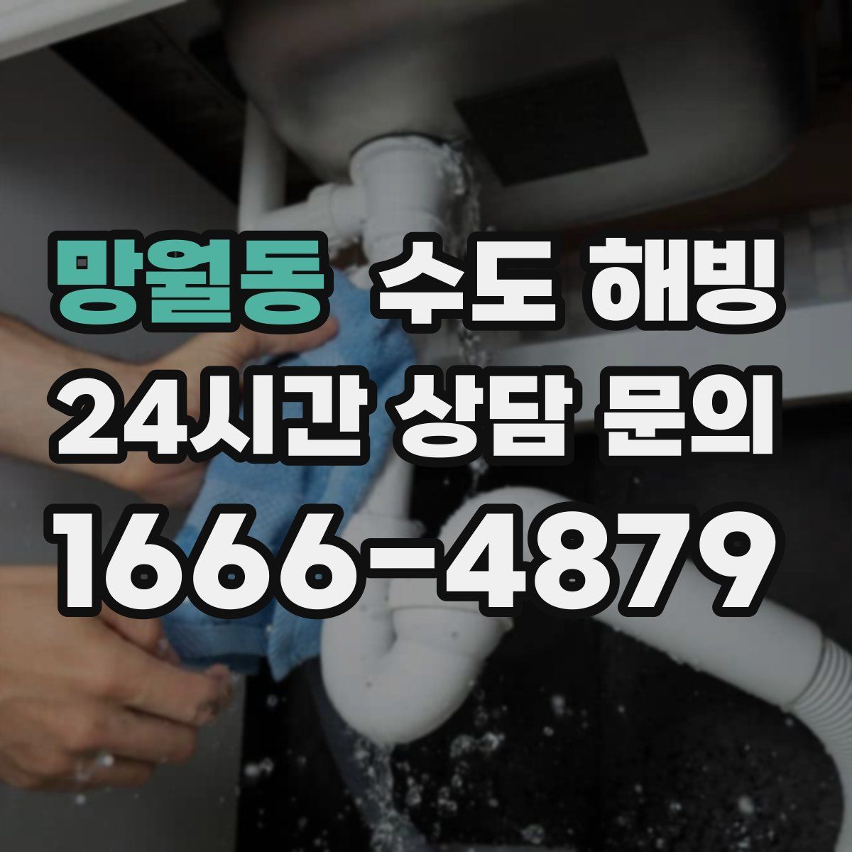 망월동 수도 해빙