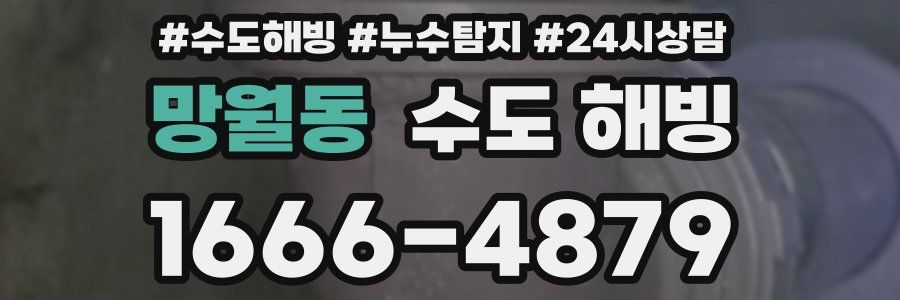 망월동 수도 해빙