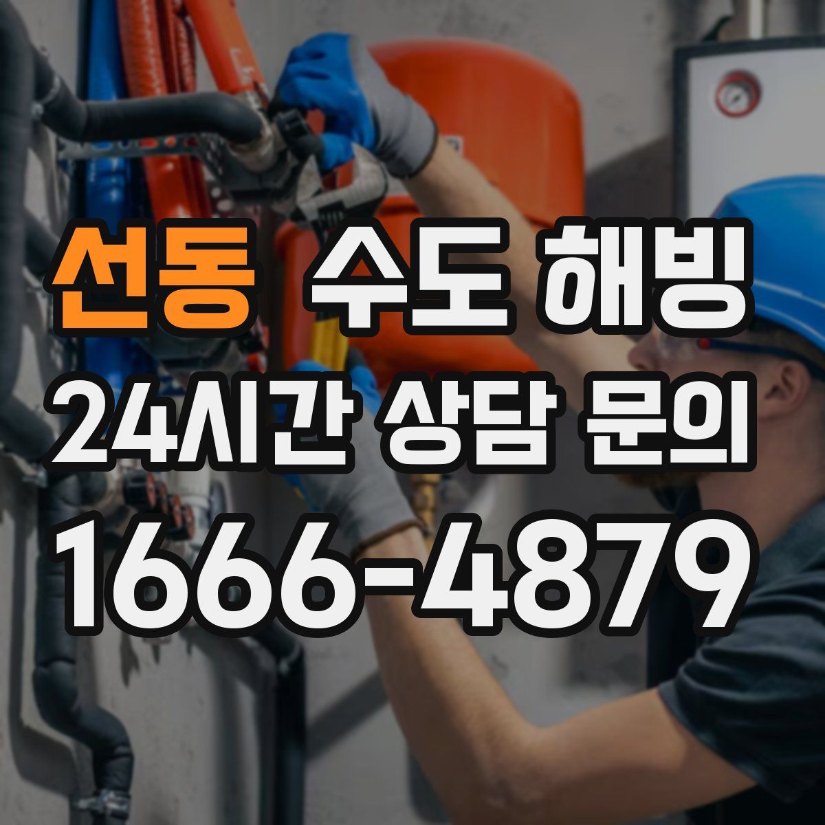 선동 수도 해빙