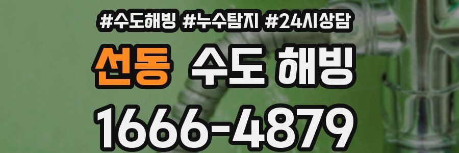 선동 수도 해빙