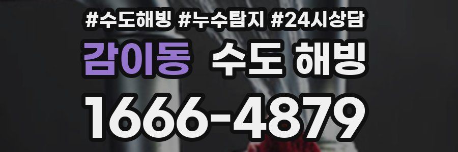 감이동 수도 해빙