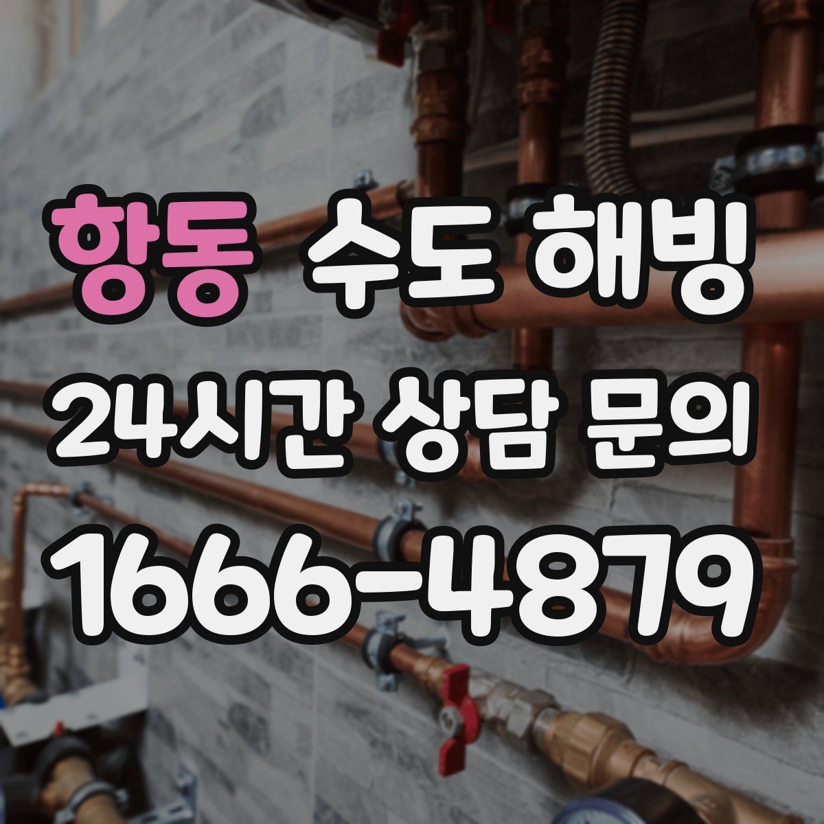 항동 수도 해빙