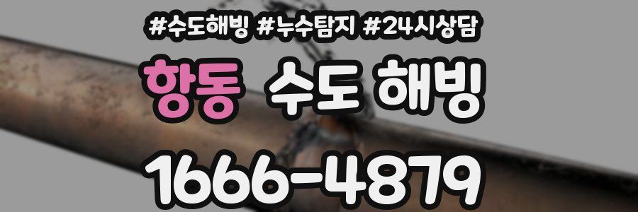 항동 수도 해빙