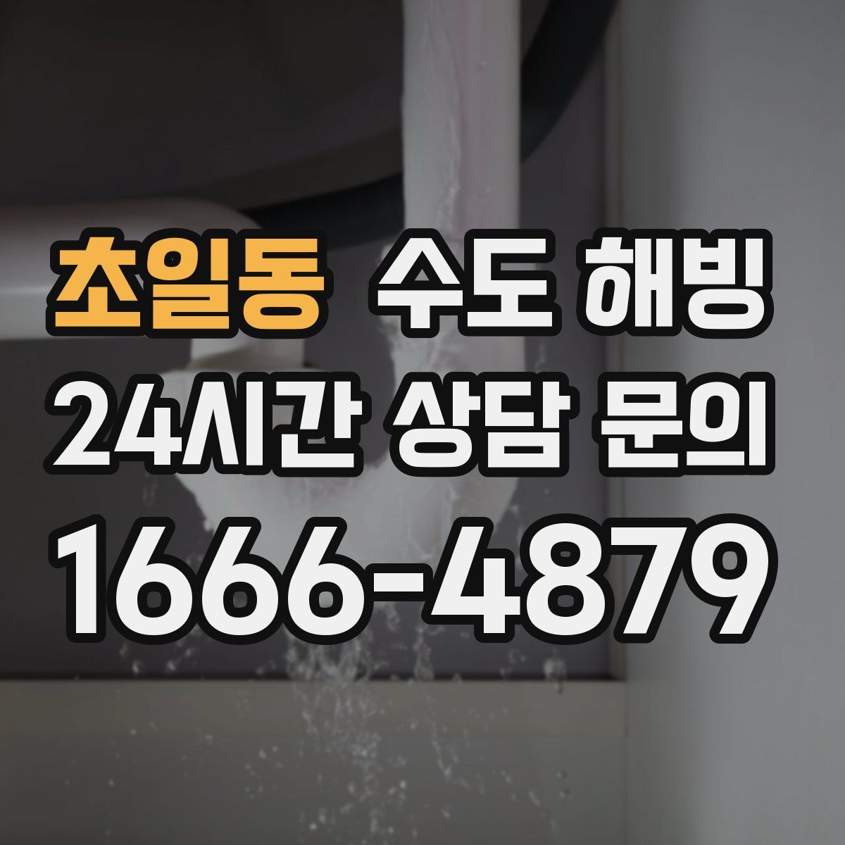 초일동 수도 해빙