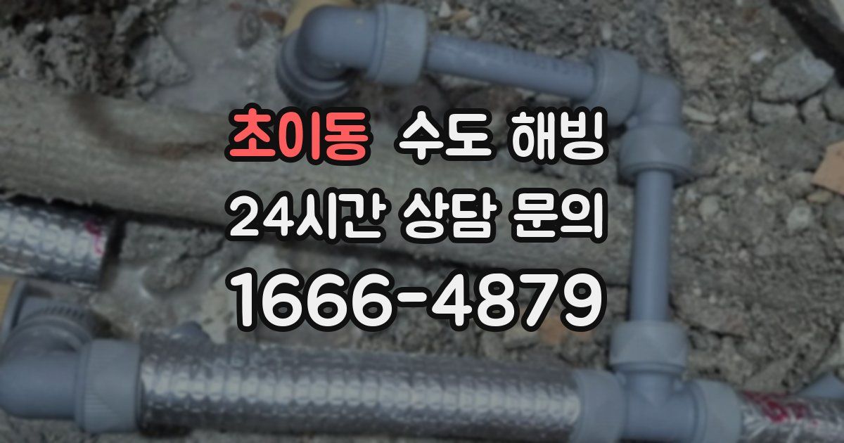 초이동 수도 해빙