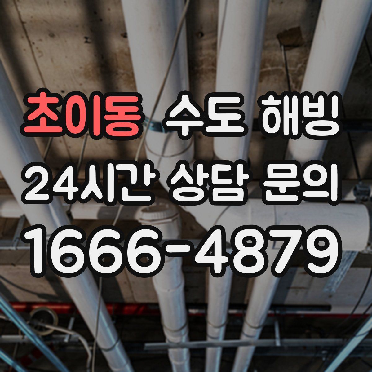 초이동 수도 해빙