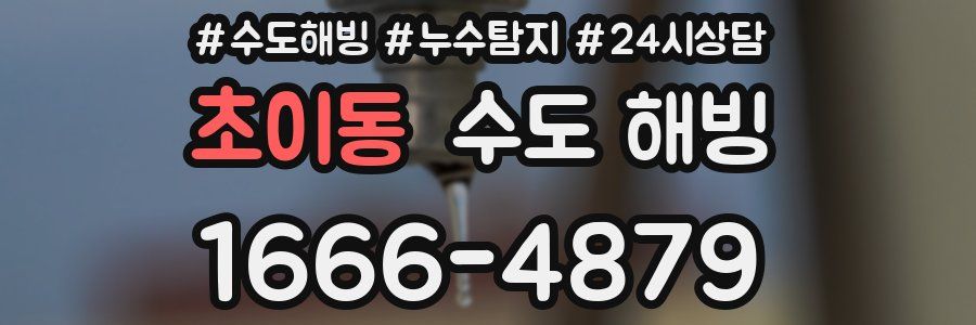 초이동 수도 해빙