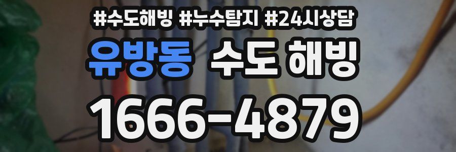 유방동 수도 해빙