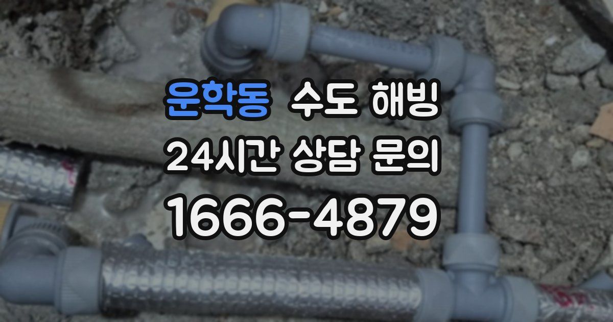 운학동 수도 해빙