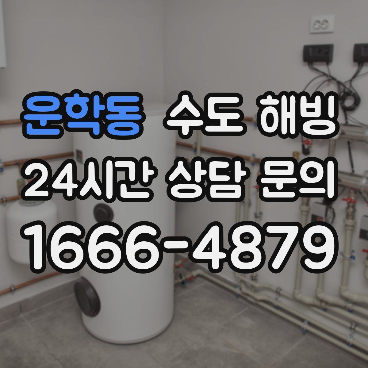 운학동 수도 해빙