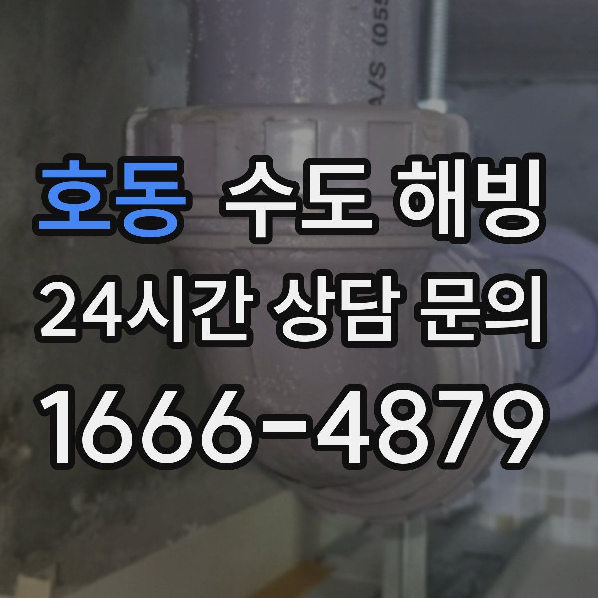 호동 수도 해빙