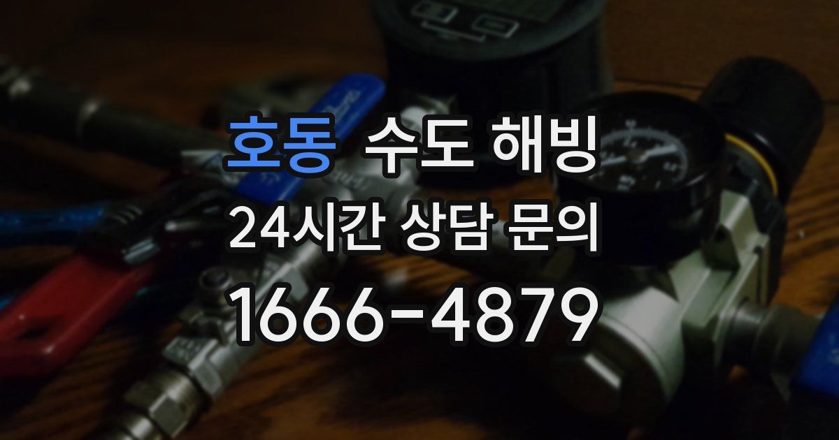 호동 수도 해빙