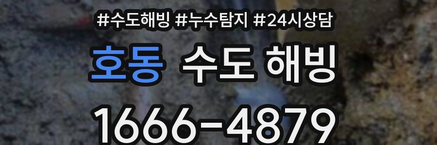 호동 수도 해빙