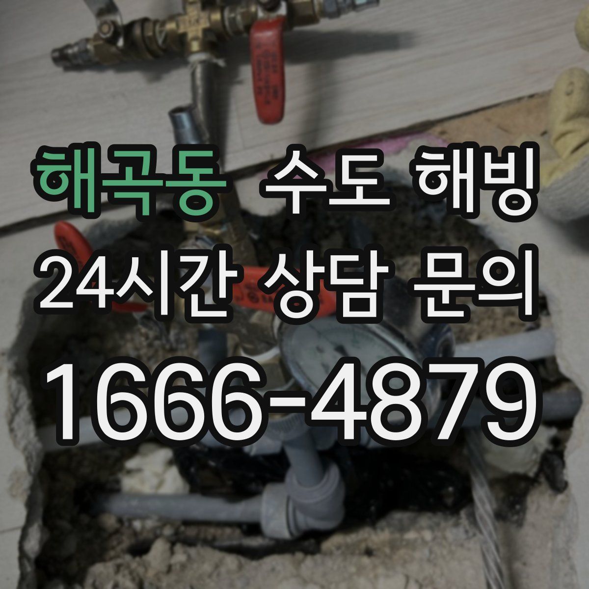 해곡동 수도 해빙