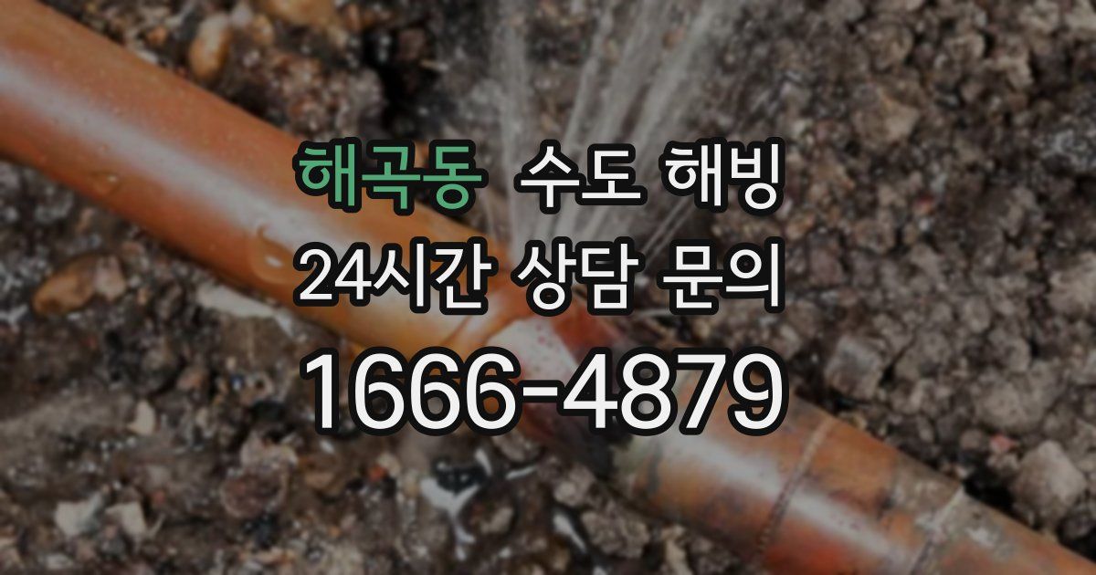 해곡동 수도 해빙