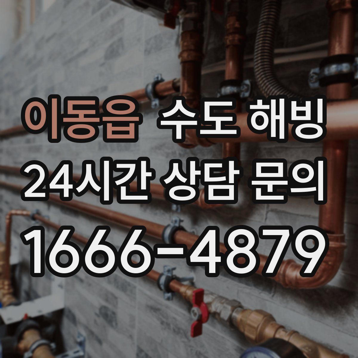 이동읍 수도 해빙