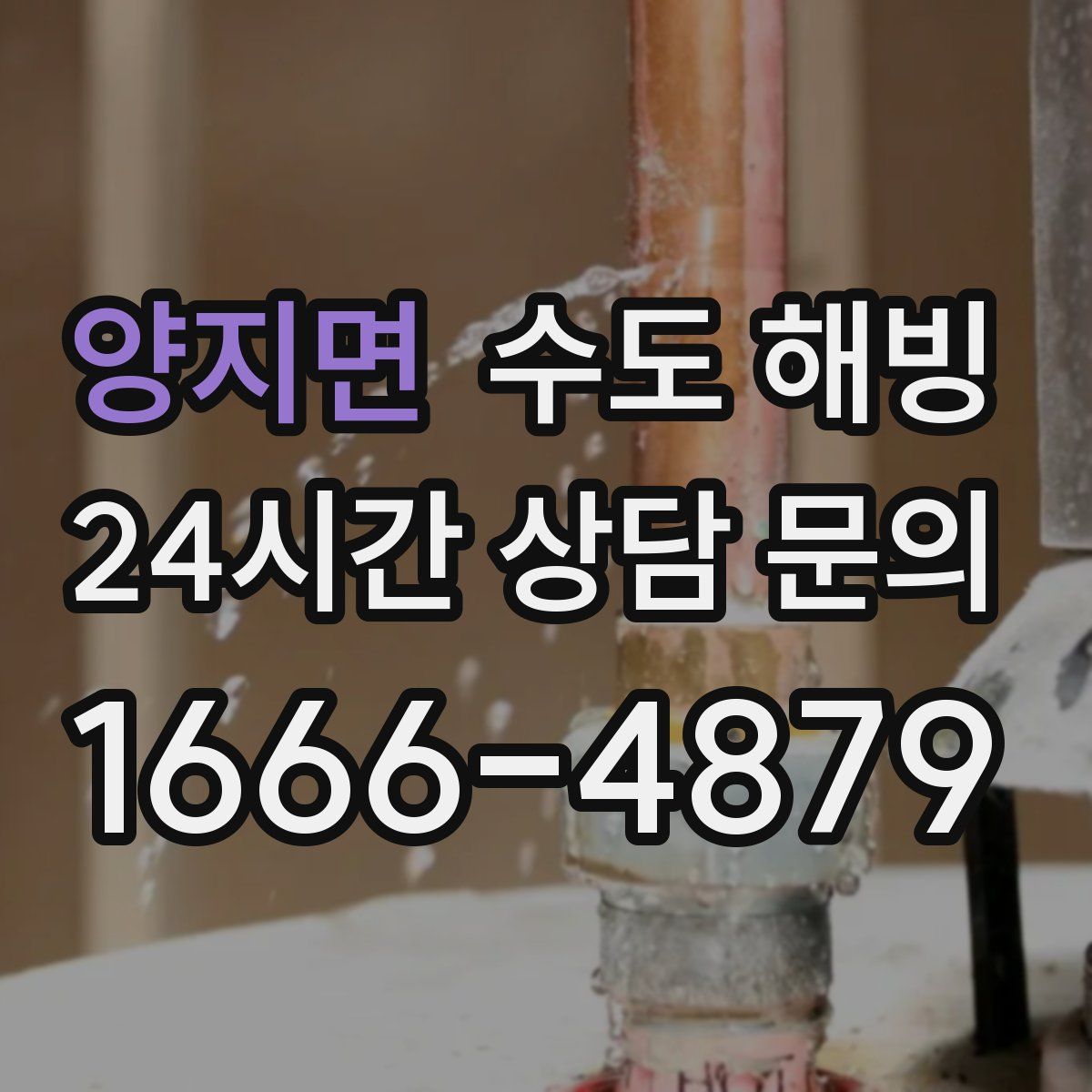 양지면 수도 해빙