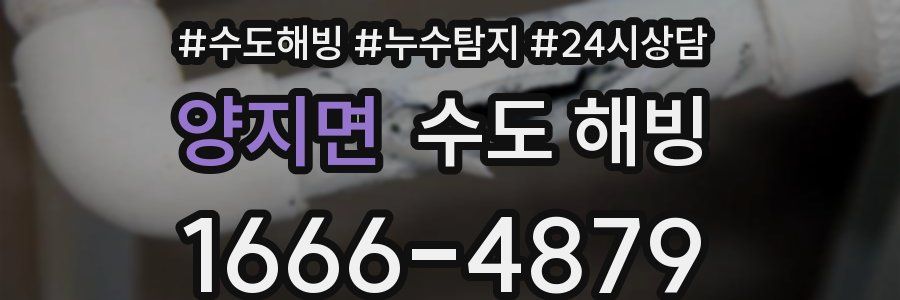 양지면 수도 해빙