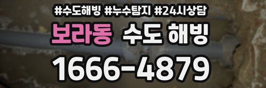 보라동 수도 해빙