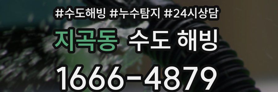 지곡동 수도 해빙