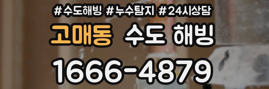 고매동 수도 해빙