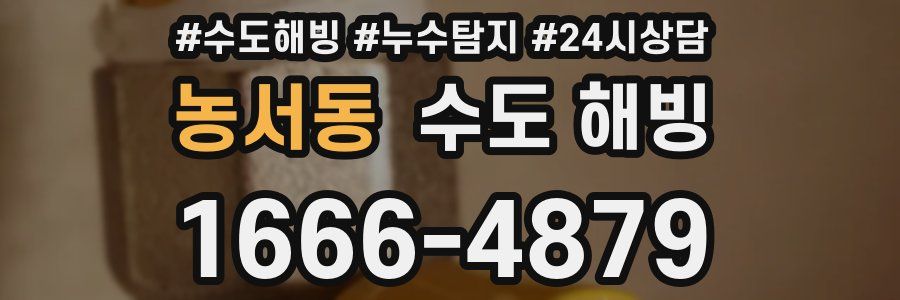 농서동 수도 해빙