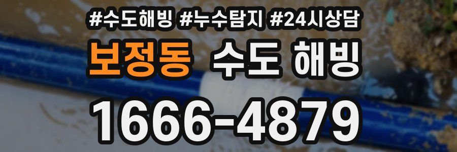 보정동 수도 해빙