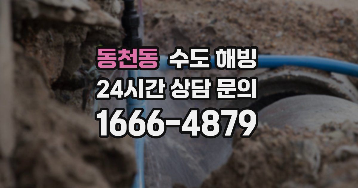 동천동 수도 해빙
