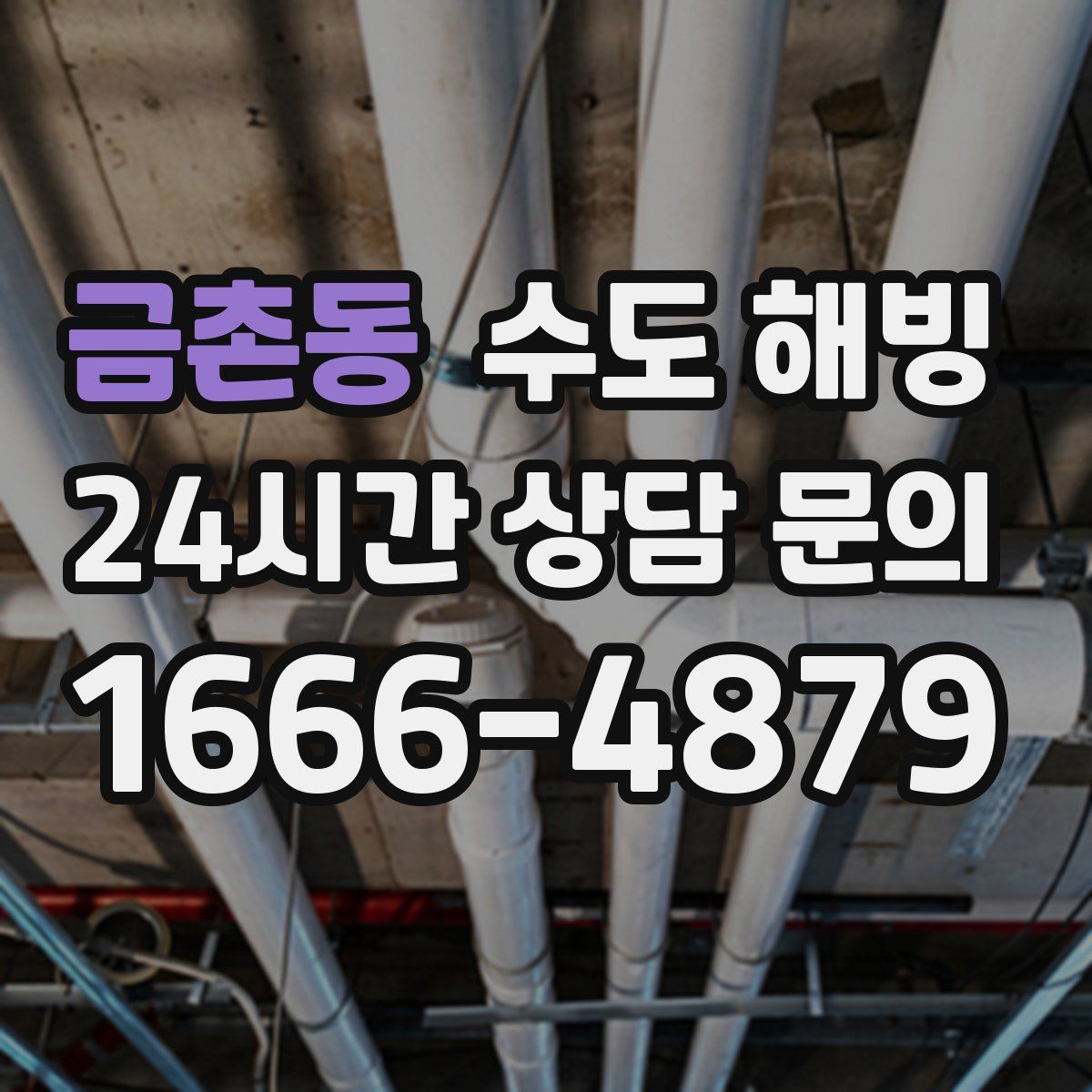 금촌동 수도 해빙