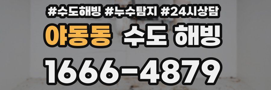 야동동 수도 해빙