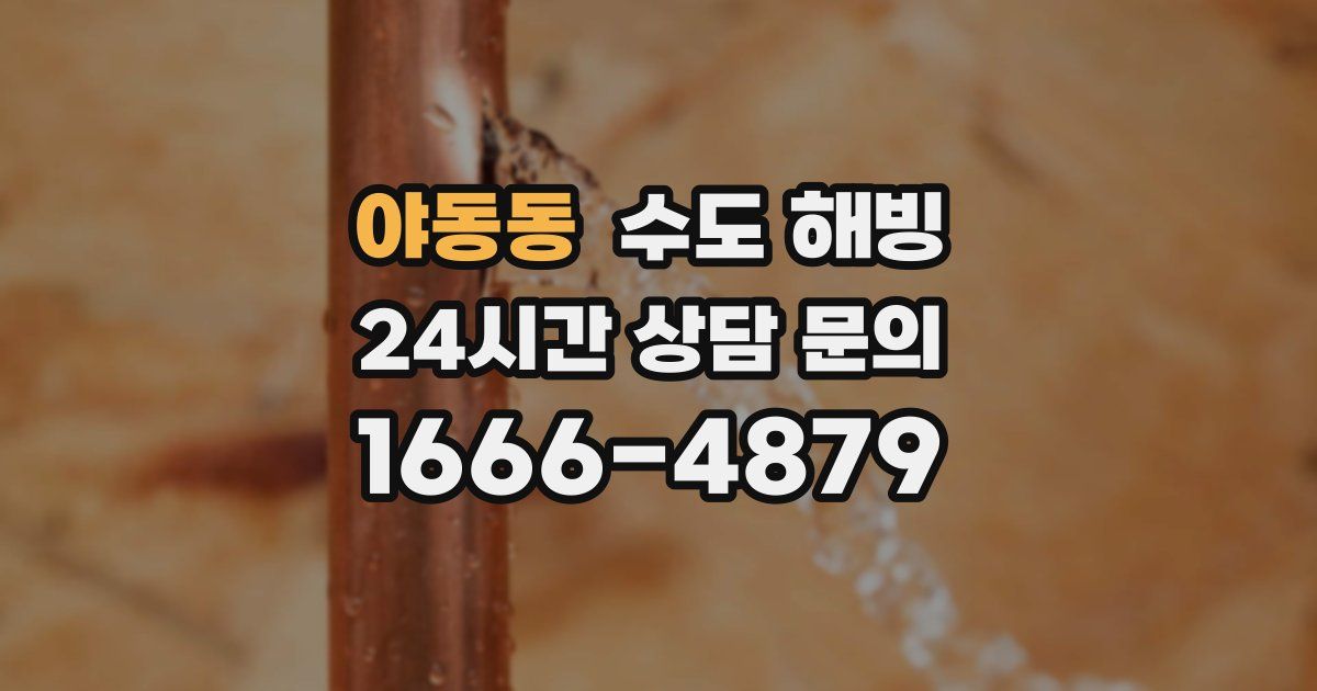 야동동 수도 해빙