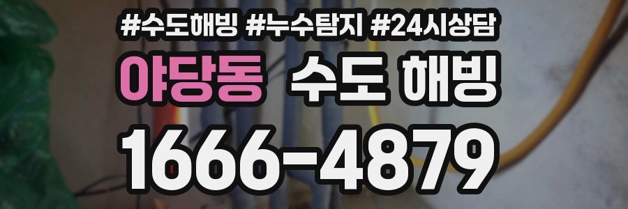 야당동 수도 해빙