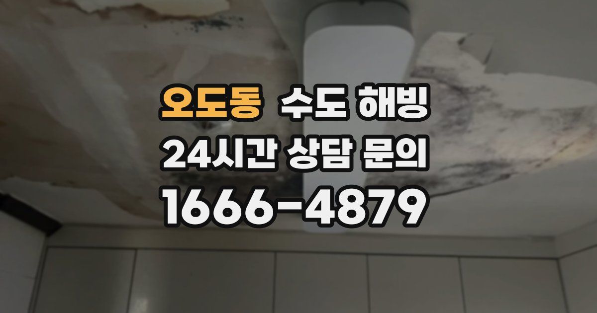 오도동 수도 해빙