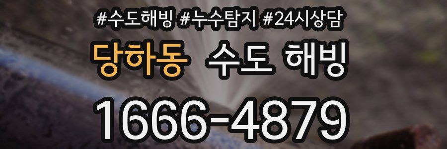 당하동 수도 해빙