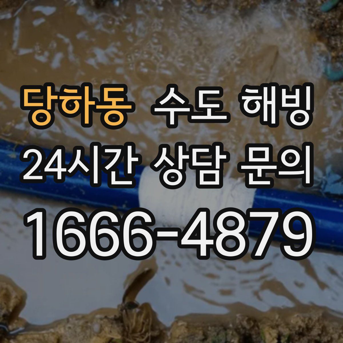 당하동 수도 해빙