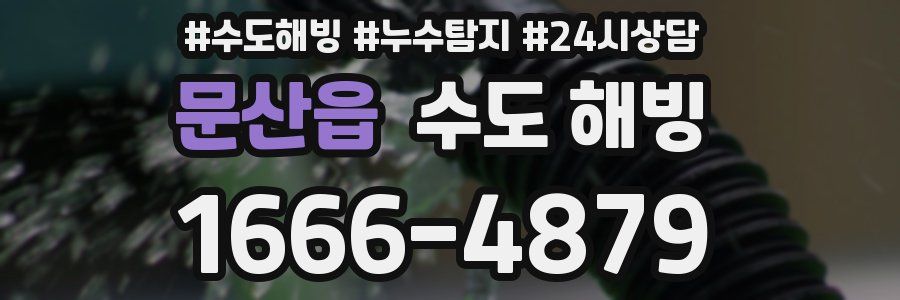 문산읍 수도 해빙