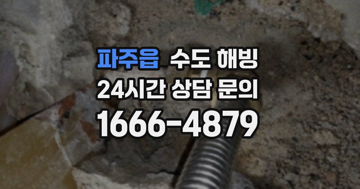 파주읍 수도 해빙