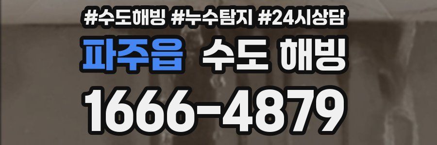 파주읍 수도 해빙