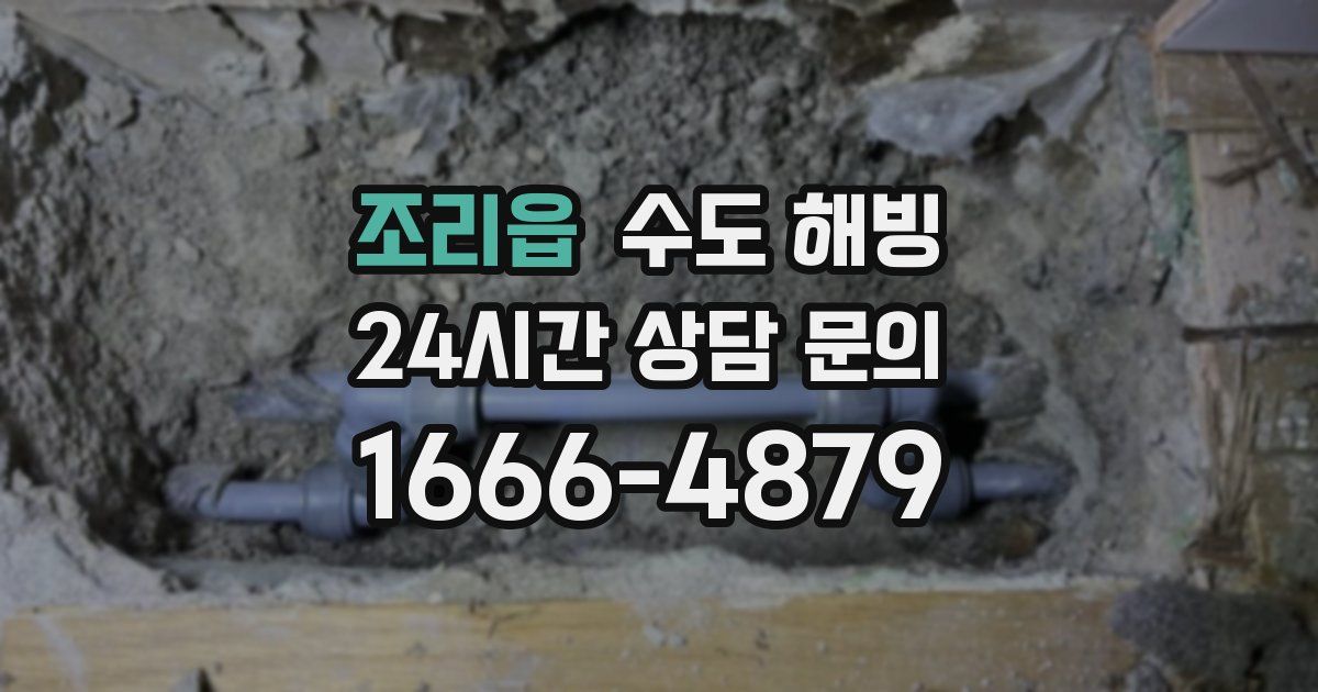 조리읍 수도 해빙